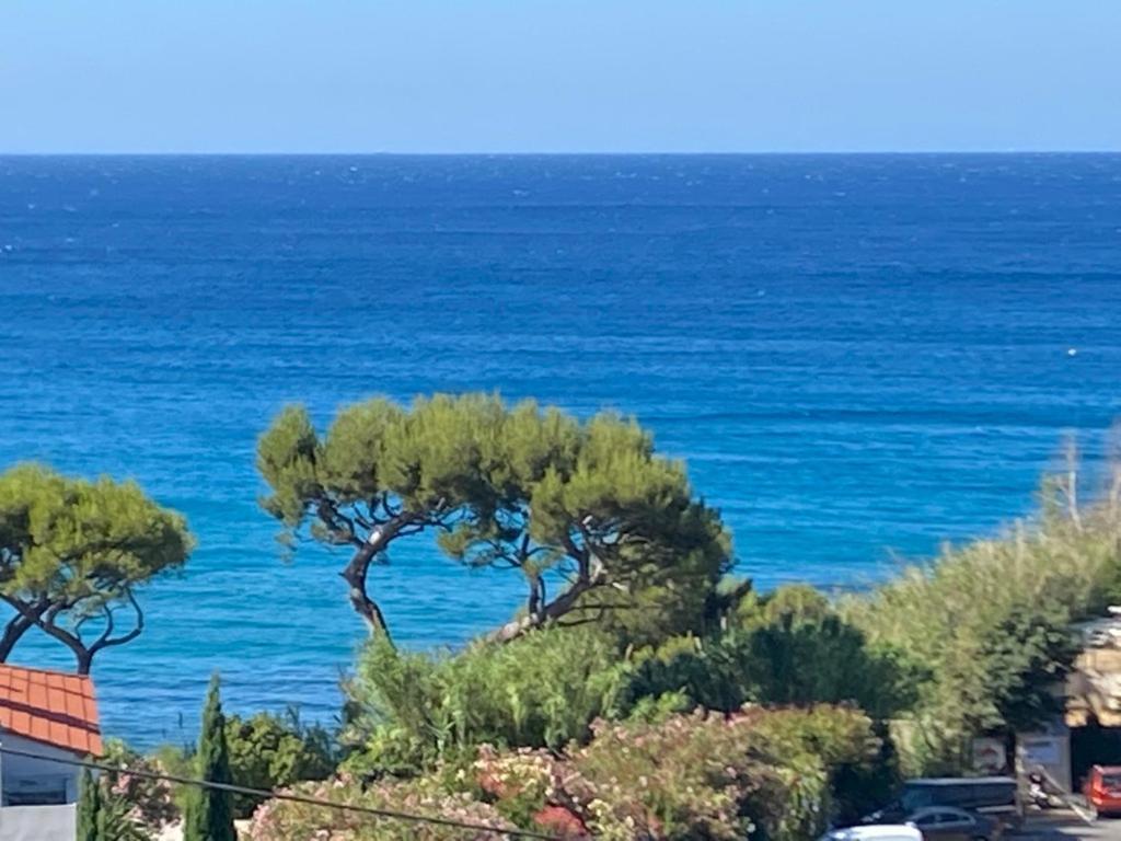 Face A La Mer, Cassis Et Son Cap Canaille Екстериор снимка